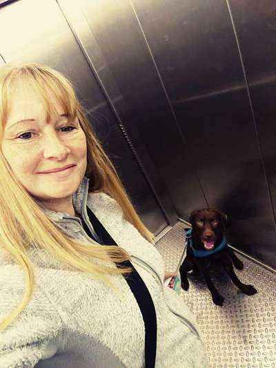 Wo seid ihr gerade mit euren Hunden?-Beitrag-Bild