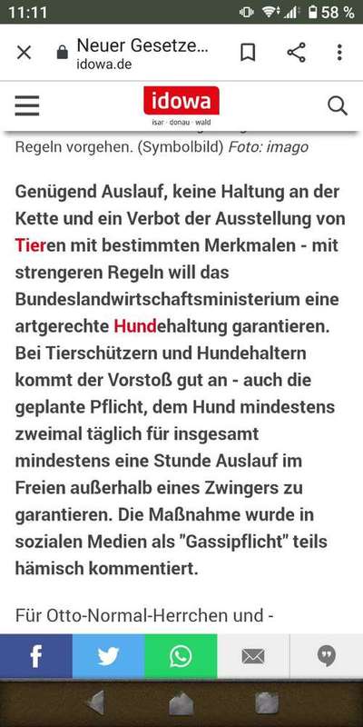 Gassipflicht per Gesetz?-Beitrag-Bild