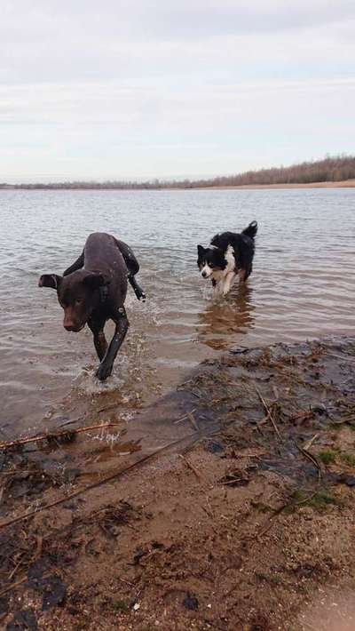 Foto Challenge - BEENDET - bitte aktuelle Challenge nutzen-Beitrag-Bild