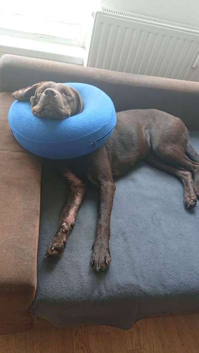 Die unbequemsten und lustigsten Schlafpositionen-Beitrag-Bild