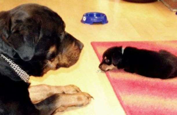 Lieblings Schnappschuss?-Beitrag-Bild