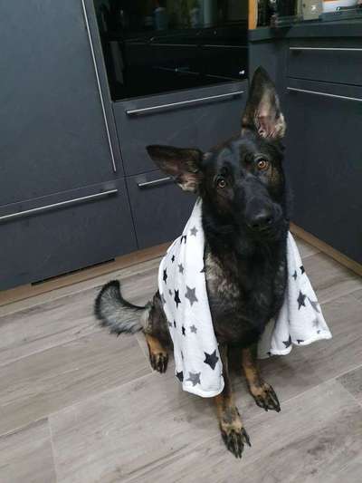 Vorher.... Nachher-Beitrag-Bild