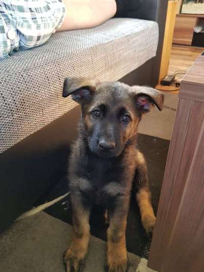 Vorher.... Nachher-Beitrag-Bild