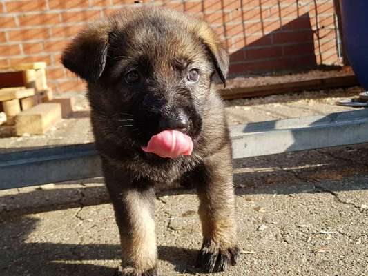 Foto Challenge 3-Beitrag-Bild