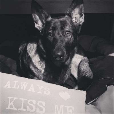 Lieblings Schnappschuss?-Beitrag-Bild