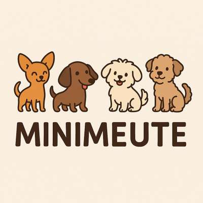 Hundetreffen-MiniMeute - (Spiel-)Treffen für kleine freundliche Hunde-Bild