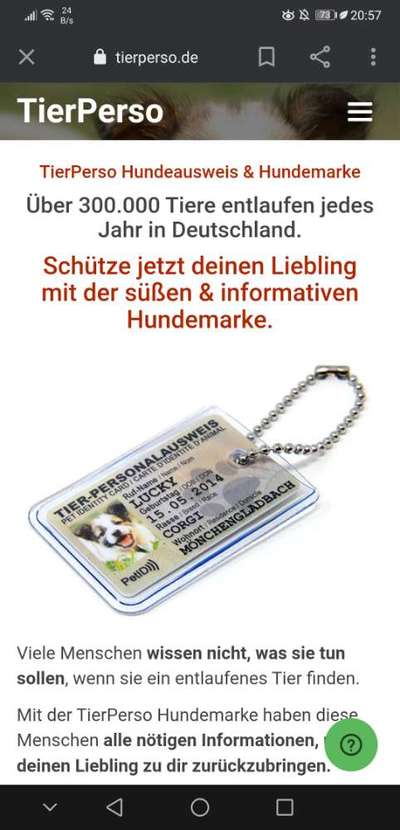 Hundemarke - verschiedene Halsbänder-Beitrag-Bild