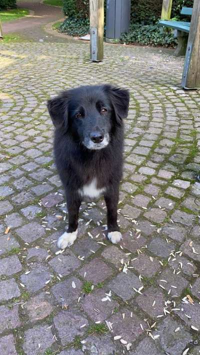 Fotochallenge Nr. 56 - geliebte Senioren-Beitrag-Bild