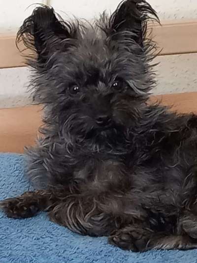 Zeigt eure Portraits-Beitrag-Bild