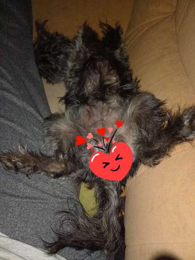 Verrückte Schlafpositionen-Beitrag-Bild