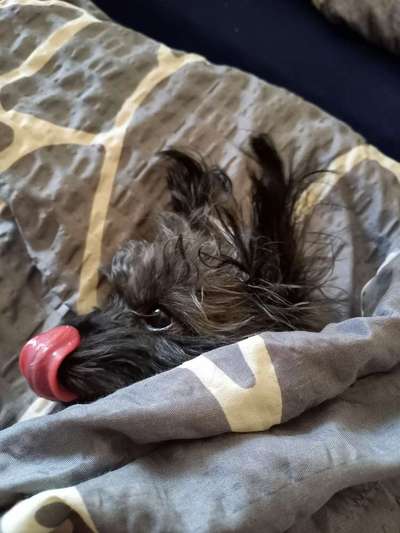 Handyfoto challenge Nr. 13: Waschlappen raus!-Beitrag-Bild