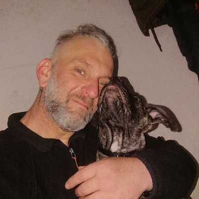 Hundetreffen-Treffen und spielen-Profilbild