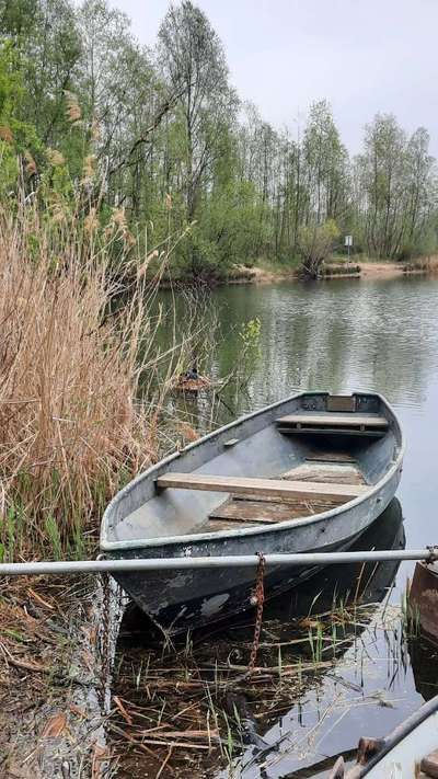 Hundeauslaufgebiet-Höhenfelder See-Bild