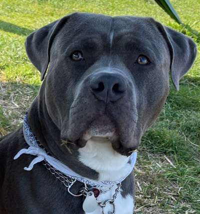 Fotochallange Nr. 57     PORTRÄT.   Beendet!!!!!!!!-Beitrag-Bild