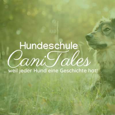 Hundeschulen-Hundeschule CaniTales-Bild