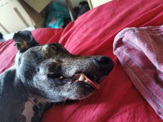 Challenge Nr. 10: "Das schönste Lächeln"-Beitrag-Bild