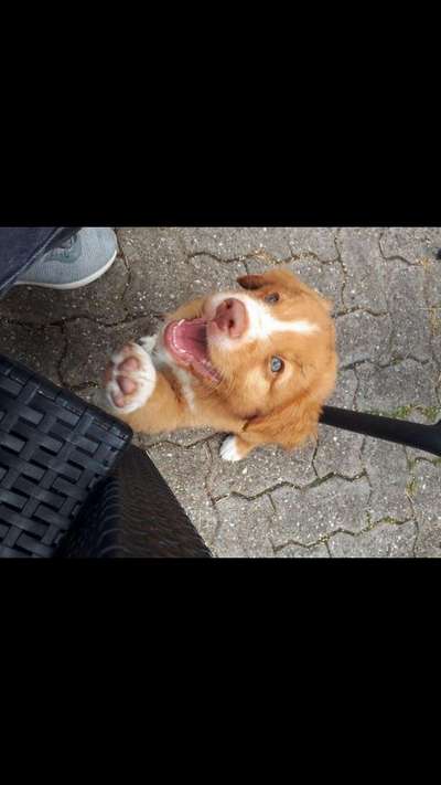 Sie werden so schnell erwachsen ...-Beitrag-Bild