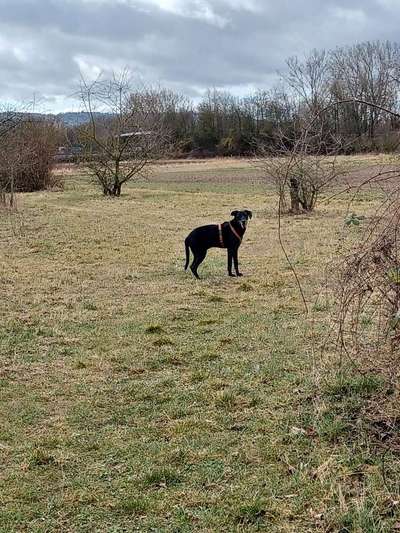 Fotowettbewerb Natur-Beitrag-Bild
