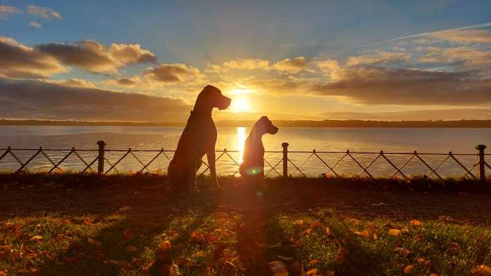 Fotowettbewerb zum Thema "Sonne"-Beitrag-Bild