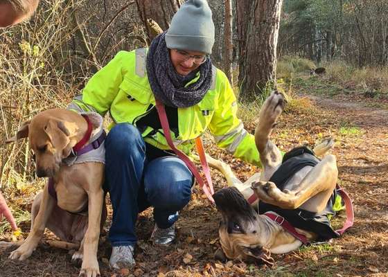 Dogorama Photo Challenge - Fail/Outtakes-Beitrag-Bild