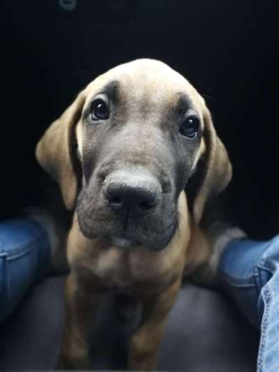 147. Foto Challenge: Bettelblick-Beitrag-Bild