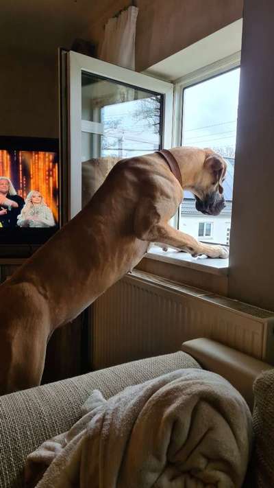 120. Fotochallenge-Beitrag-Bild