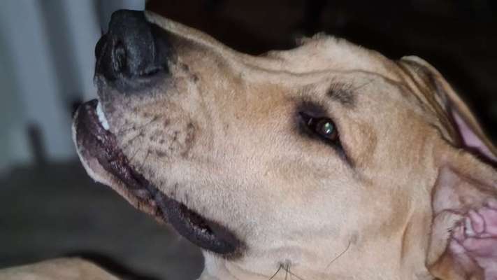 Fotochallenge Nr.122-Beitrag-Bild