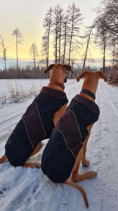 Fotochallenge 130-Beitrag-Bild