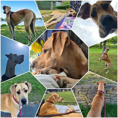 53. Collage Challenge - Verschiedene Blickwinkel-Beitrag-Bild