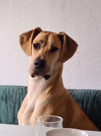 147. Foto Challenge: Bettelblick-Beitrag-Bild