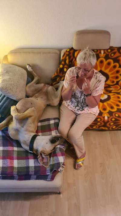 Foto Challenge - Zeigt her eure Bäuche-Beitrag-Bild