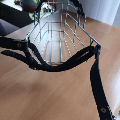 Wie sitzt mein Maulkorb / Maulkorb-Beratung-Beitrag-Bild