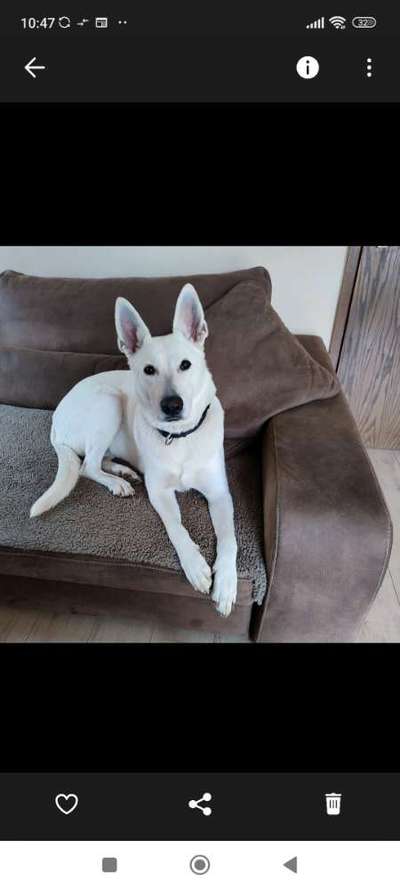 28. Farben Foto Challenge * BEIGE *-Beitrag-Bild