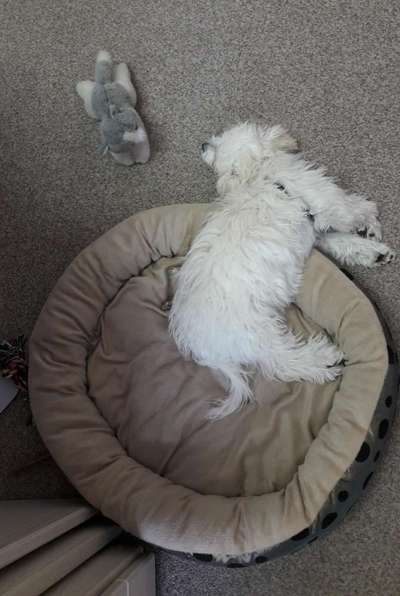 Die unbequemsten und lustigsten Schlafpositionen-Beitrag-Bild