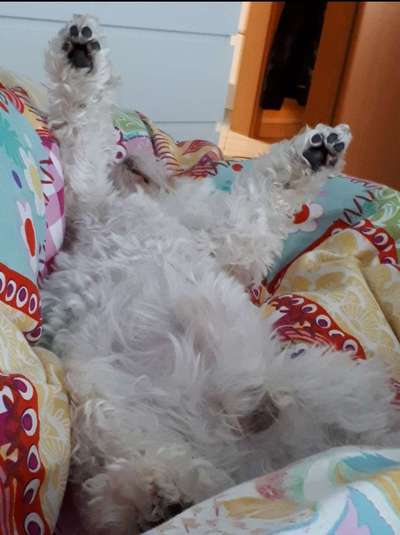 Die unbequemsten und lustigsten Schlafpositionen-Beitrag-Bild