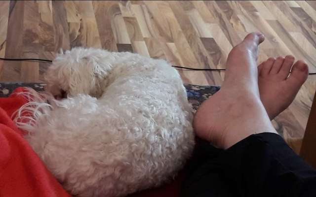 Die unbequemsten und lustigsten Schlafpositionen-Beitrag-Bild