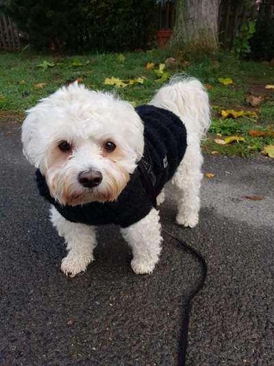 Pullis, Jacken, Hütte und alles sonstiges-Beitrag-Bild