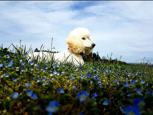 Fotochallenge 78

Es grünt und blüht-Beitrag-Bild