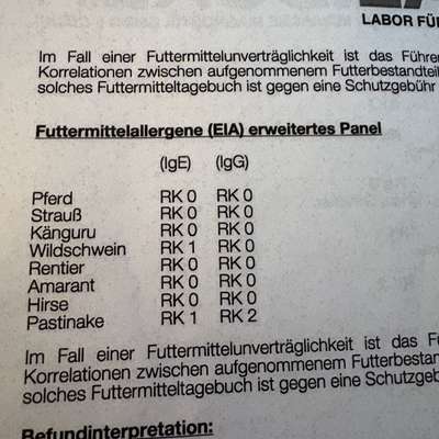 Tipps nach Allegietest-Beitrag-Bild