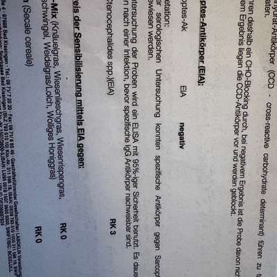 Tipps nach Allegietest-Beitrag-Bild