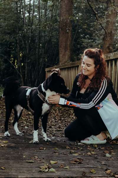 Hundetreffen-Spieltreffen oder gemeinsame Spaziergänge-Bild