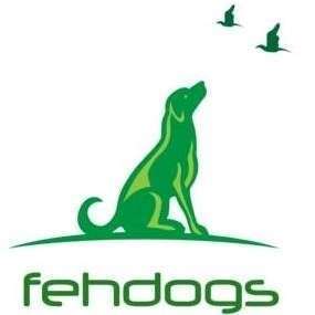 Hundeschulen-Fehdogs Hundetraining-Bild