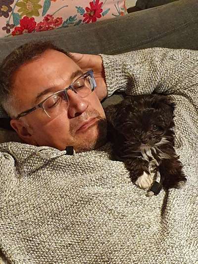 Fotochallenge 32 - Mein Schoßhündchen-Beitrag-Bild