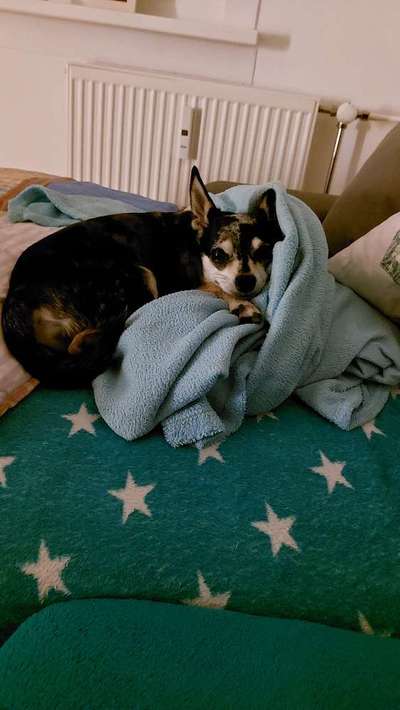 Fotochallange - Eingekugelt-Beitrag-Bild