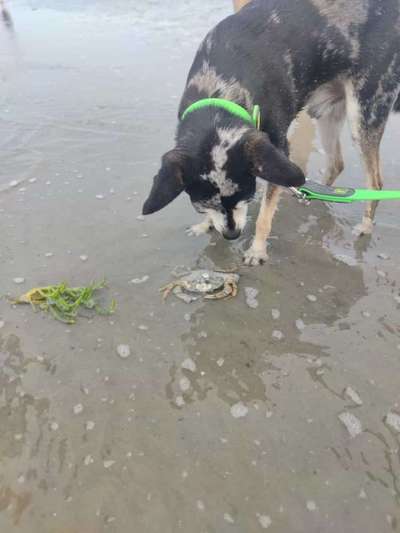 35. Handy Foto Challenge - Das nasse Element-Beitrag-Bild