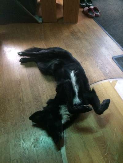 Die unbequemsten und lustigsten Schlafpositionen-Beitrag-Bild