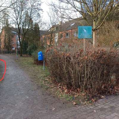 Giftköder-Rattengift (Giftköder) in Trittau-Bild