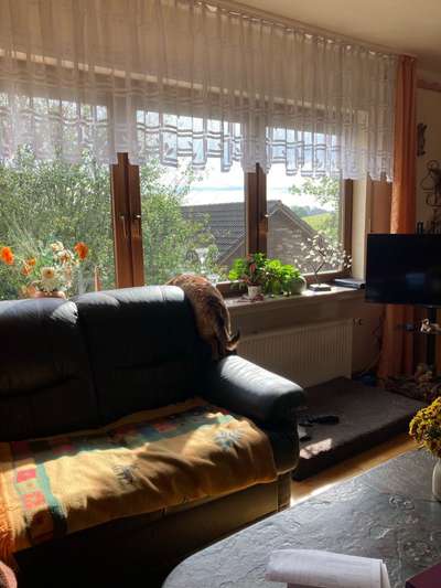 Challenge Nr 14
Eure Fellnasen auf ihrem Lieblingsplatz-Beitrag-Bild