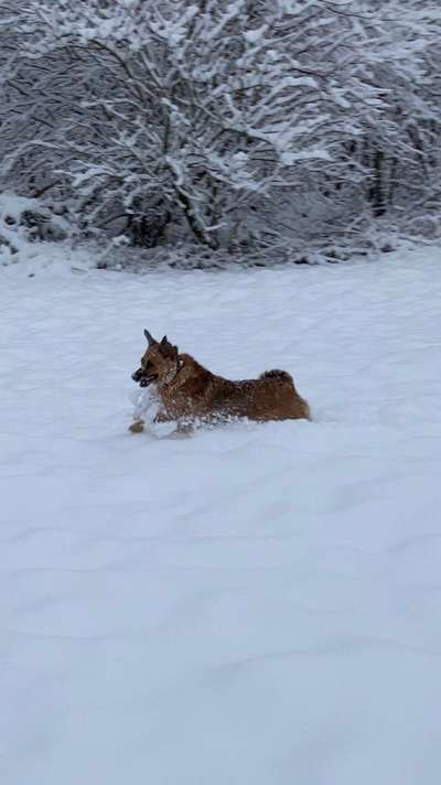 Challenge Nr. 15
Spiel im Schnee-Beitrag-Bild