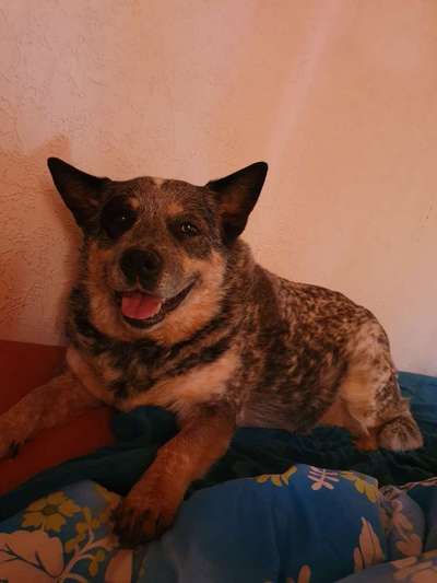 Fotochallange Nr. 57     PORTRÄT.   Beendet!!!!!!!!-Beitrag-Bild